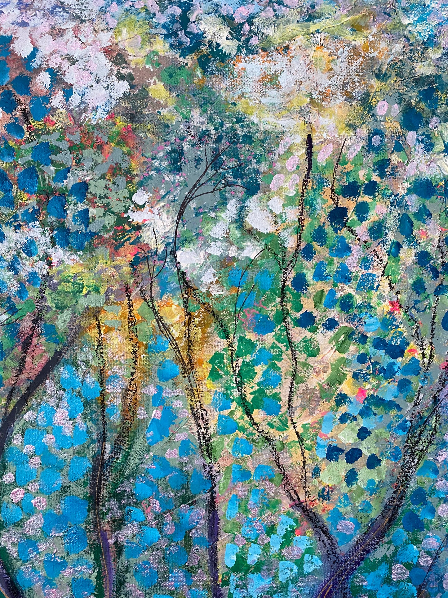 Walking in Glengarra Woods.